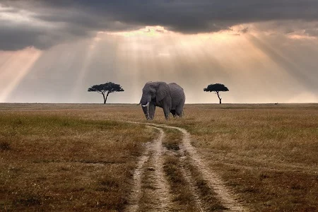 Marsabit National Park & Mount Marsabit